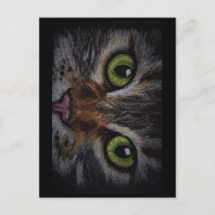 Kaart kat postkarte