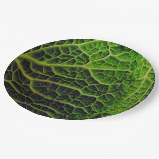 KABBAGE PAPPTELLER (Schrägansicht)