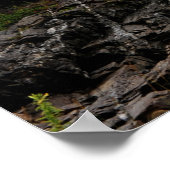 Kabeladler und Portland Kopf Poster (Ecke)