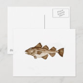 Kabeljau 1 braun286.jpg postkarte (Vorne/Hinten)