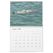 Kabeljau, Massenkalender Kalender (Jan 2027)
