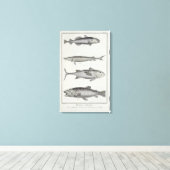 Kabeljau, Thunfisch, Lachs und Sturgeon Leinwanddruck (Insitu (Holzboden))