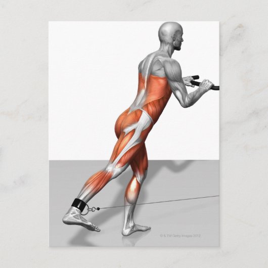 Kabelübungen für Skater Postkarte (Vorderseite)