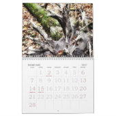 Kabine im Holz Kalender (Feb 2027)