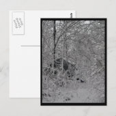 Kabine im Wald Postkarte (Vorne/Hinten)