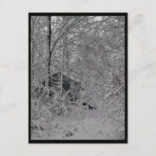 Kabine im Wald Postkarte