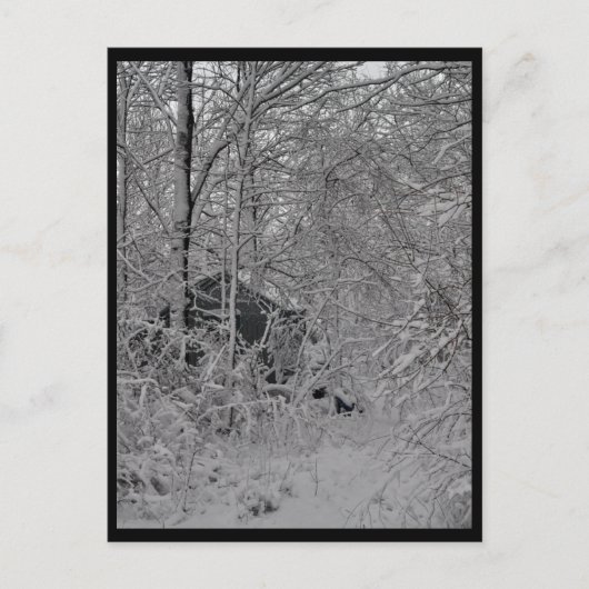 Kabine im Wald Postkarte (Vorderseite)