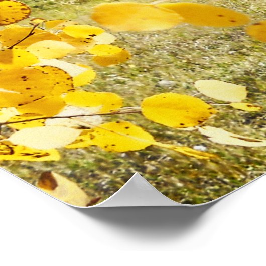 Kabine in Aspens Poster (Ecke)