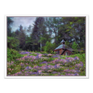 Kabine in der Lupine digital initialisiert Open Ed Fotodruck
