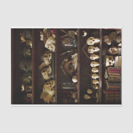 Kabinett der Kuriositäten Seidenpapier (Vorderseite)