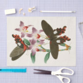 Kabinett für orientalische Entomologie Pl III Seidenpapier (Handwerk)