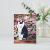 Kaboodles Cat Postcard Postkarte (Stehend Vorderseite)