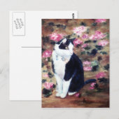 Kaboodles Cat Postcard Postkarte (Vorne/Hinten)
