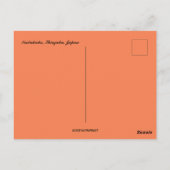 Kabukicho Shinjuku Japan Postkarte (Rückseite)