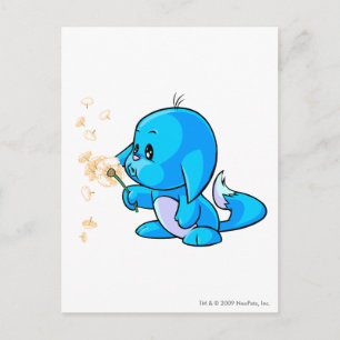 Kacheek Blue Postkarte