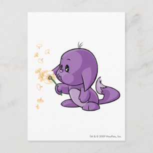 Kacheek Lila Postkarte