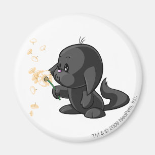 Kacheek Shadow Magnet