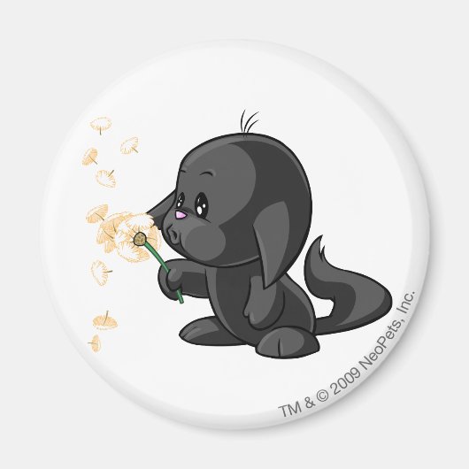 Kacheek Shadow Magnet (Vorne)