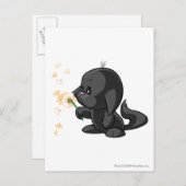 Kacheek Shadow Postkarte (Vorne/Hinten)