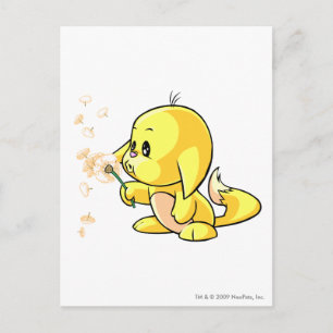 Kacheek Yellow Postkarte