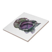 Kachel von Keramik mit Aquarell von lombardischem (Seite)