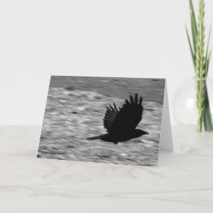 Kachemak Bucht-Rabe Karte