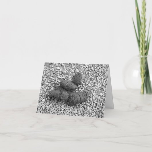 kack 001 karte (Vorderseite)