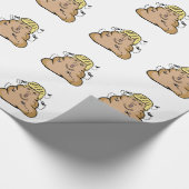kack Donald Trump Geschenkpapier (Ecke)