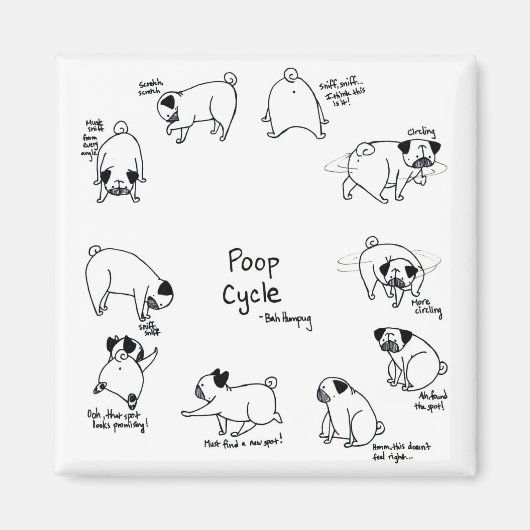 Kack-Zyklus Magnet (Vorne)