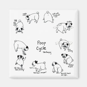 Kacken Sie Zyklus Magnet