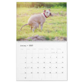Kackend Hunde Kalender 2023, Hunde (Jan 2027)