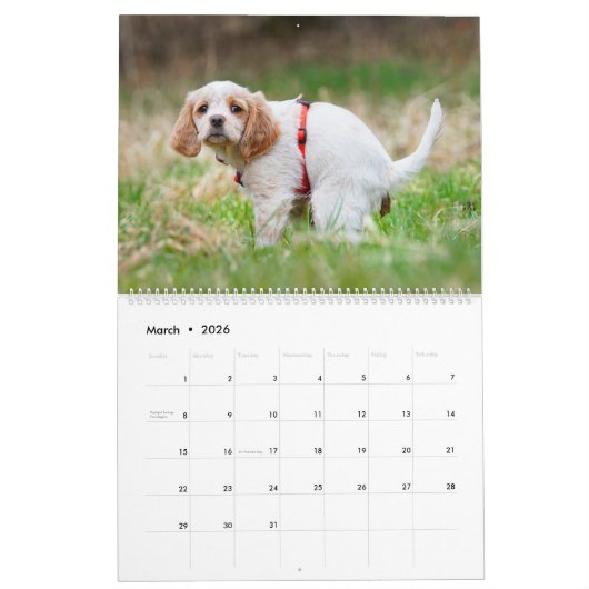 Kackend Hunde Kalender 2023, Hunde (Mär 2026)