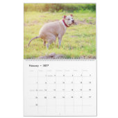 Kackend Hunde Kalender 2023, Hunde (Feb 2027)