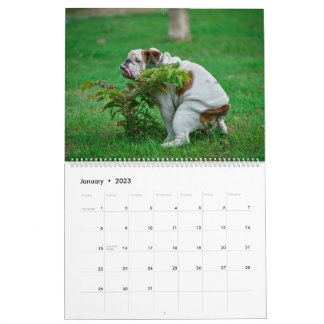 Kackend Hunde Kalender 2023, Hunde