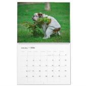 Kackend Hunde Kalender 2023, Hunde (Jan 2026)