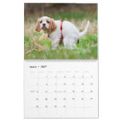 Kackend Hunde Kalender 2023, Hunde (Mär 2027)