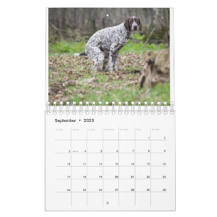 kackend Hunde-Kalender 2023 Kalender