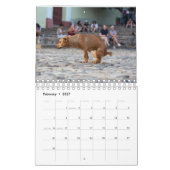 kackend Hunde-Kalender 2023 Kalender (Feb 2027)