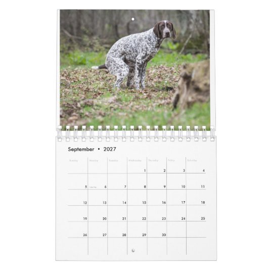 kackend Hunde-Kalender 2023 Kalender (Sep 2027)