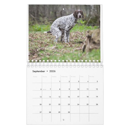 kackend Hunde-Kalender 2023 Kalender (Sep 2026)