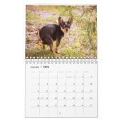 kackend Hunde-Kalender 2023 Kalender (Jan 2026)