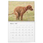Kackend Hunde Kalender 2026 (Feb 2027)