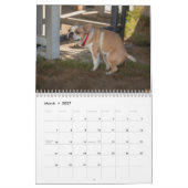 Kackend Hunde Kalender 2026 (Mär 2027)