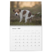 Kackend Hunde Kalender 2026 (Jan 2027)