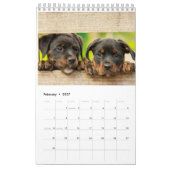 Kackend Hundekalender 2023 Kalender (Feb 2027)