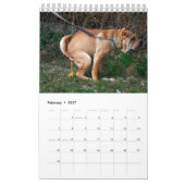 Kackend Hundekalender 2023 Kalender (Feb 2027)