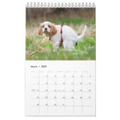 Kackend Hundekalender 2023 Kalender (Mär 2027)