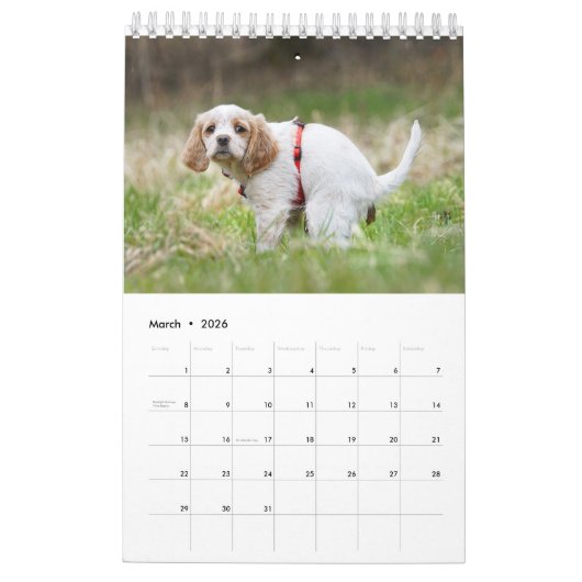 Kackend Hundekalender 2023 Kalender (Mär 2026)
