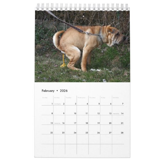 Kackend Hundekalender 2023 Kalender (Feb 2026)