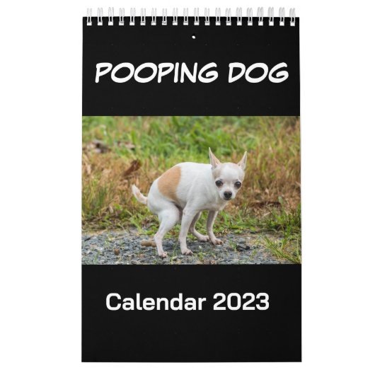 Kackend Hundekalender 2023 Kalender (Titelbild)